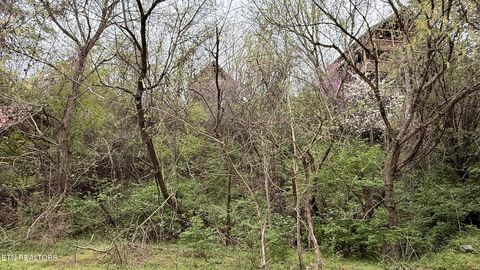 Tiny photo for 4 Hideaway Ridge Circle, Sevierville, TN 37862 (MLS # 1334503)