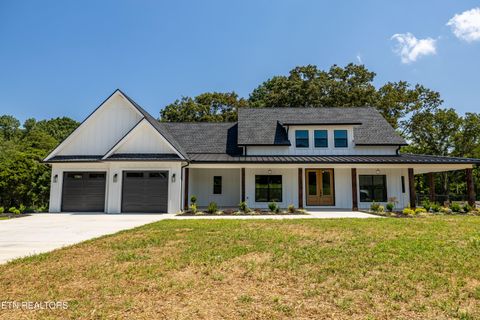 1106 Sophie Drive Greenback TN 37742
