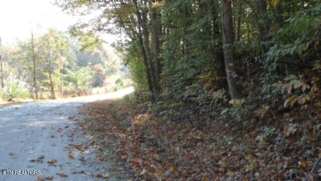 Photo of 860 Moss Arcot Rd, Celina, TN 38551 (MLS # 1321412)