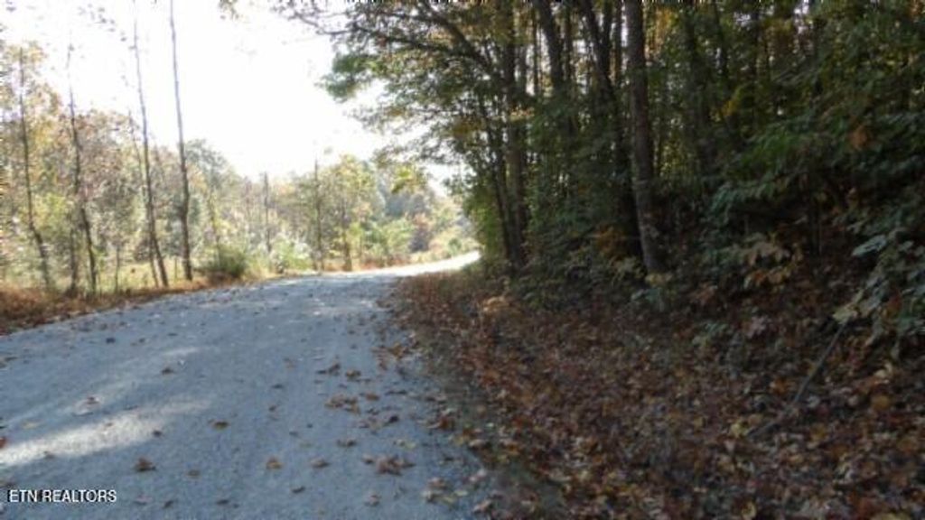 Photo of 860 Moss Arcot Rd, Celina, TN 38551 (MLS # 1321412)