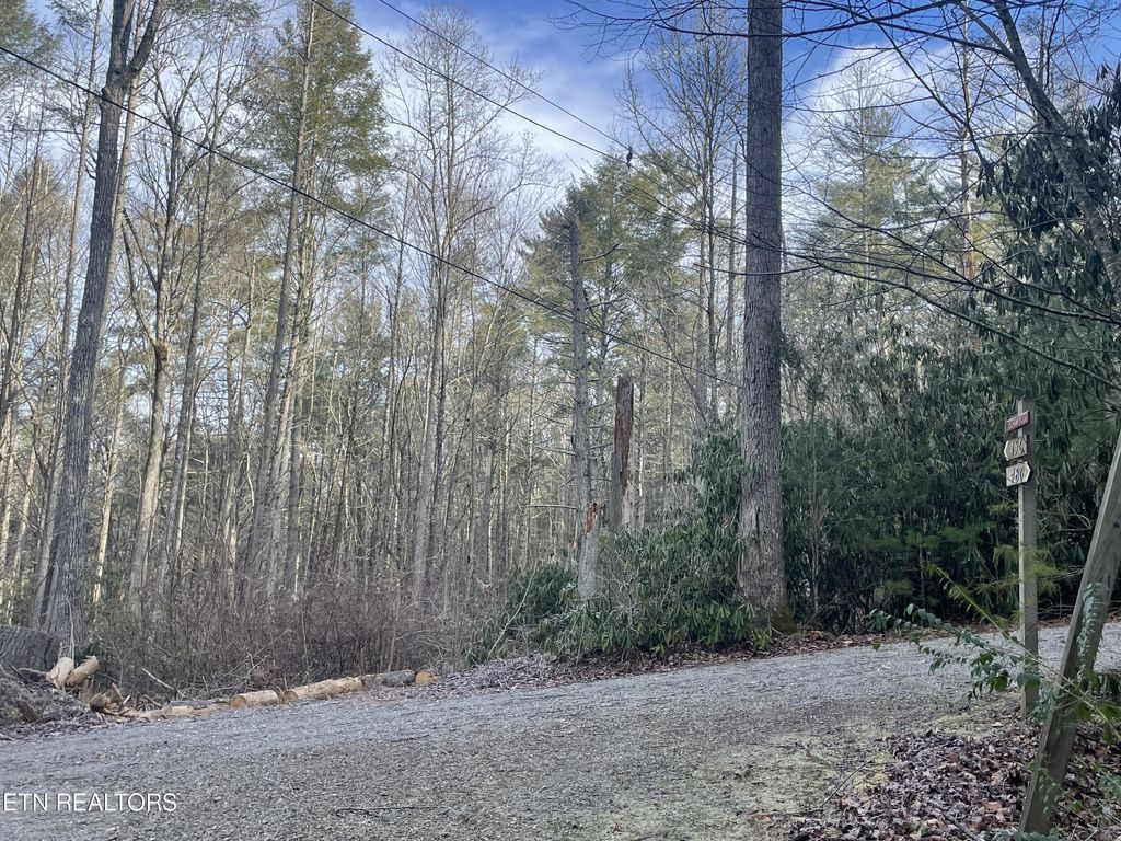 Photo of Holder Cemetery Rd, Tellico Plains, TN 37385 (MLS # 1248182)