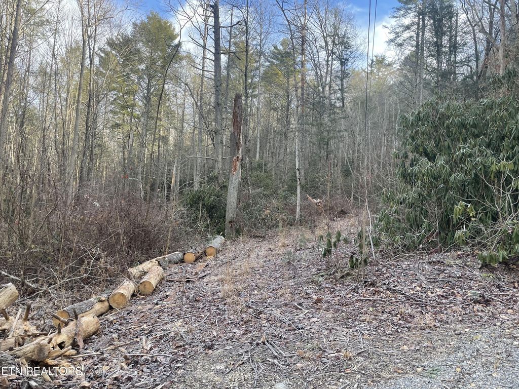 Photo of Holder Cemetery Rd, Tellico Plains, TN 37385 (MLS # 1248182)