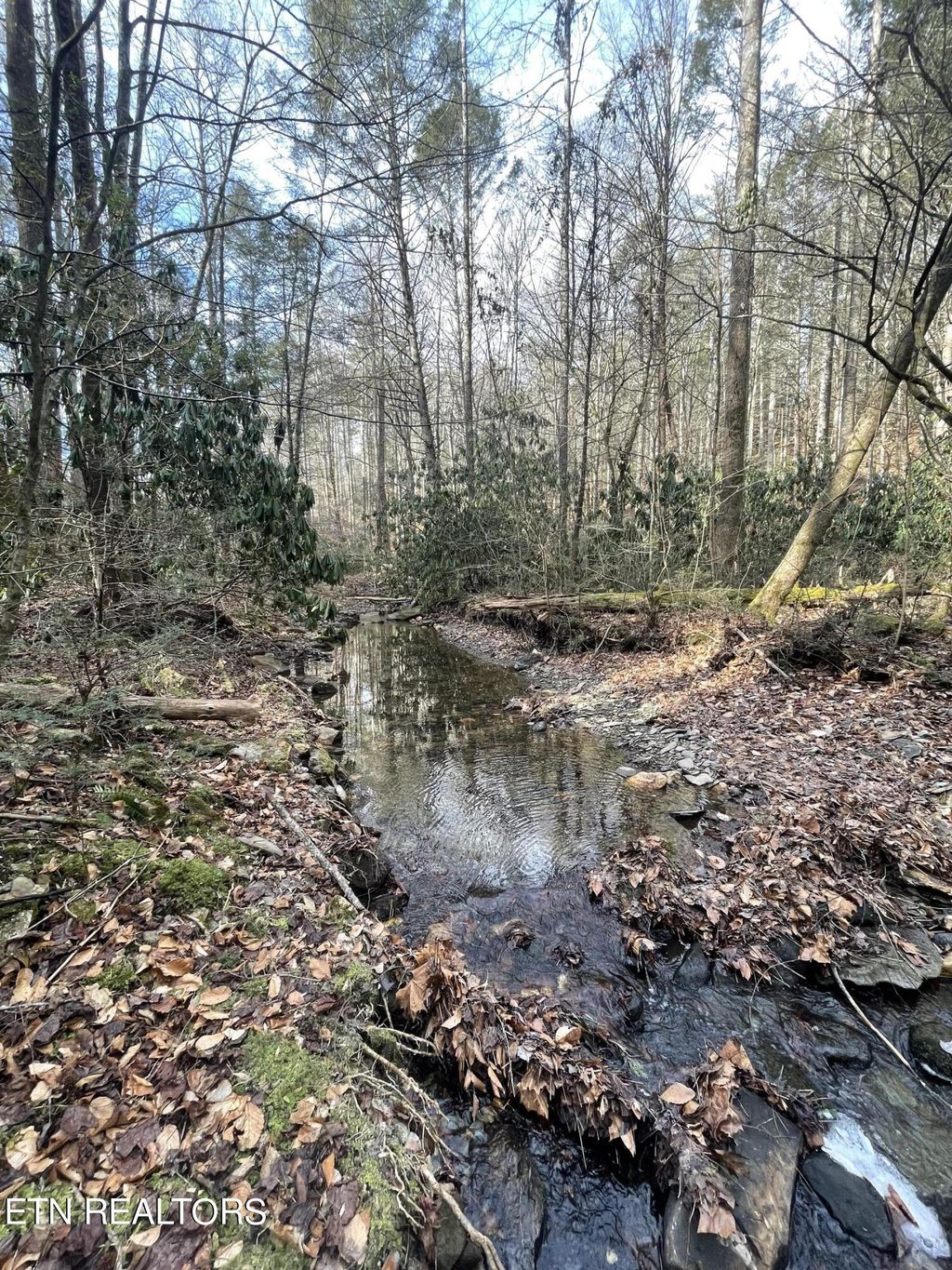 Photo of Holder Cemetery Rd, Tellico Plains, TN 37385 (MLS # 1248182)