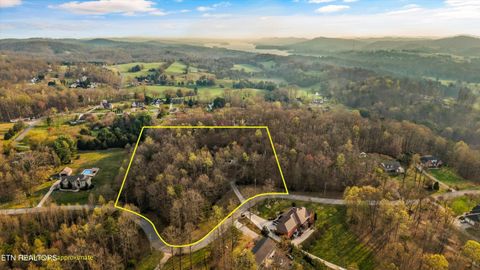 Tiny photo for 111 Stone Ridge Drive, Andersonville, TN 37705 (MLS # 1334863)