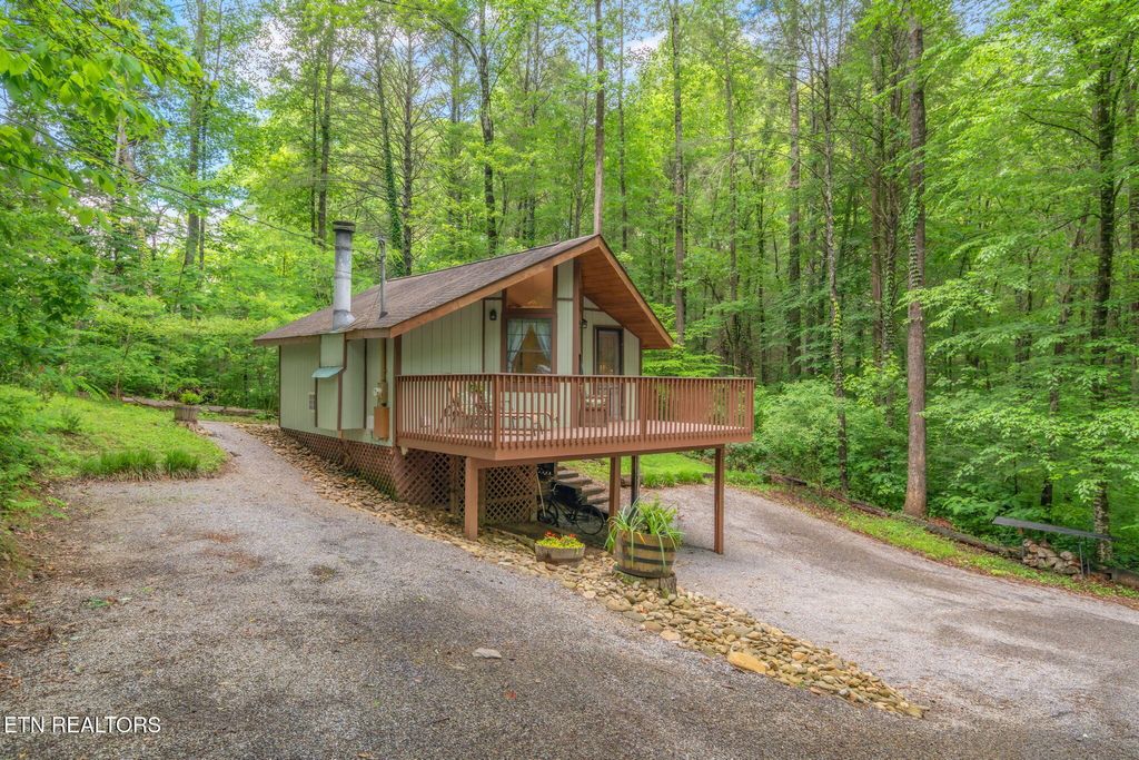 Photo of 251 Boat Gunnel Rd, Townsend, TN 37882 (MLS # 1301004)