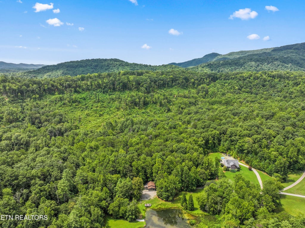 Photo of 1525 Cove Lane, Oliver Springs, TN 37840 (MLS # 1351514)