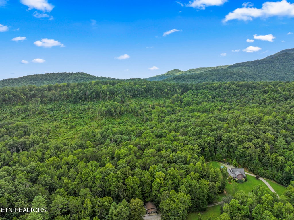 Photo of 1525 Cove Lane, Oliver Springs, TN 37840 (MLS # 1351514)