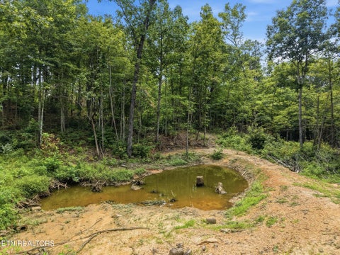 Tiny photo for 200 Paradise Lane, Crawford, TN 38554 (MLS # 1360359)
