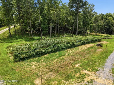 Tiny photo for 200 Paradise Lane, Crawford, TN 38554 (MLS # 1360359)