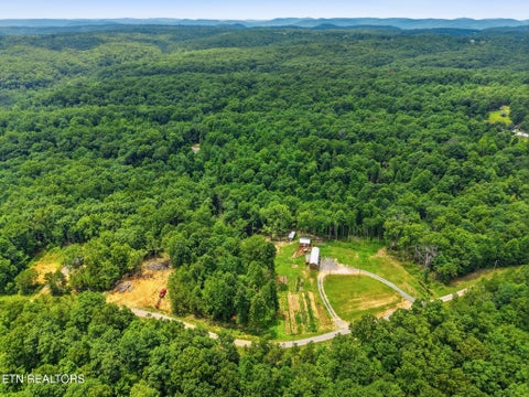 Tiny photo for 200 Paradise Lane, Crawford, TN 38554 (MLS # 1360359)