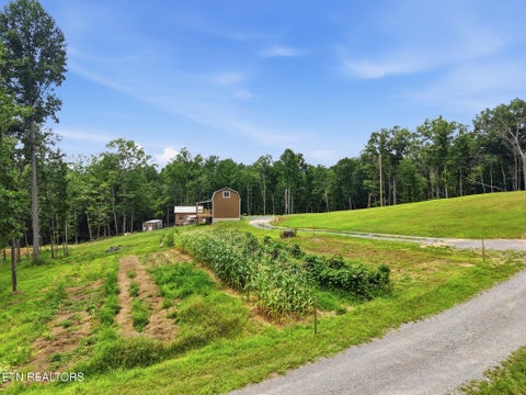 Tiny photo for 200 Paradise Lane, Crawford, TN 38554 (MLS # 1360359)