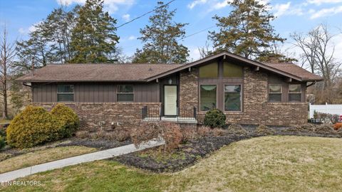 Photo of 605 Woodland Drive, Clinton, TN 37716 (MLS # 1328904)