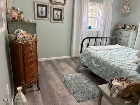 Tiny photo for 290 Curnutt Lane, Ten Mile, TN 37880 (MLS # 1336318)