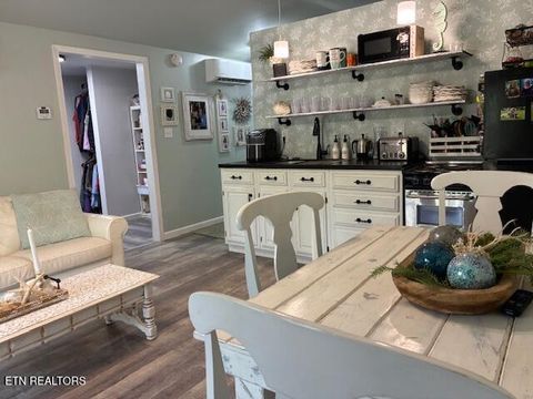 Tiny photo for 290 Curnutt Lane, Ten Mile, TN 37880 (MLS # 1336318)