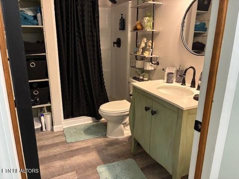 Tiny photo for 290 Curnutt Lane, Ten Mile, TN 37880 (MLS # 1336318)