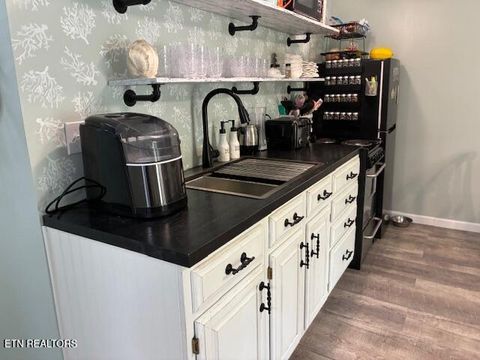 Tiny photo for 290 Curnutt Lane, Ten Mile, TN 37880 (MLS # 1336318)