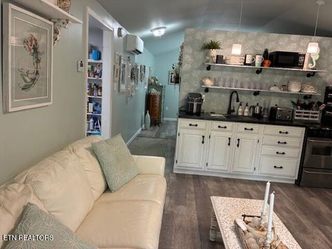 Tiny photo for 290 Curnutt Lane, Ten Mile, TN 37880 (MLS # 1336318)