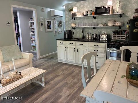 Tiny photo for 290 Curnutt Lane, Ten Mile, TN 37880 (MLS # 1336318)