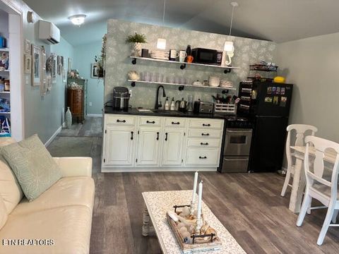 Tiny photo for 290 Curnutt Lane, Ten Mile, TN 37880 (MLS # 1336318)