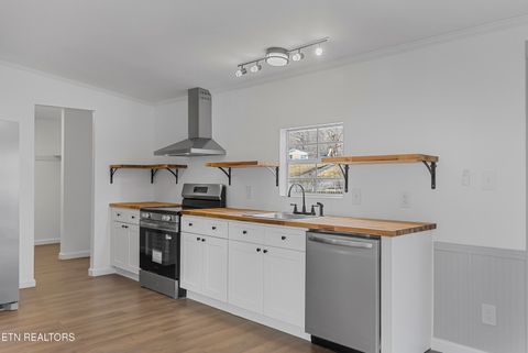 Tiny photo for 806 Reynolds Ave, Clinton, TN 37716 (MLS # 1324109)