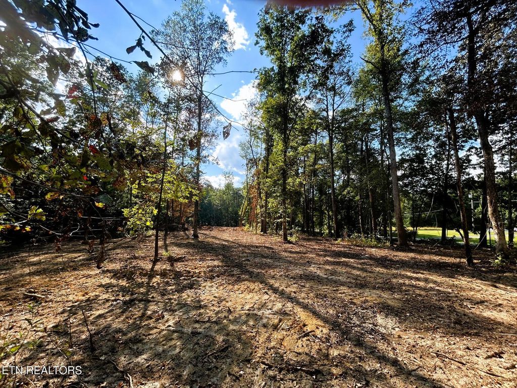 Photo of 2 Pleasant Hill Road, Ten Mile, TN 37880 (MLS # 1310719)