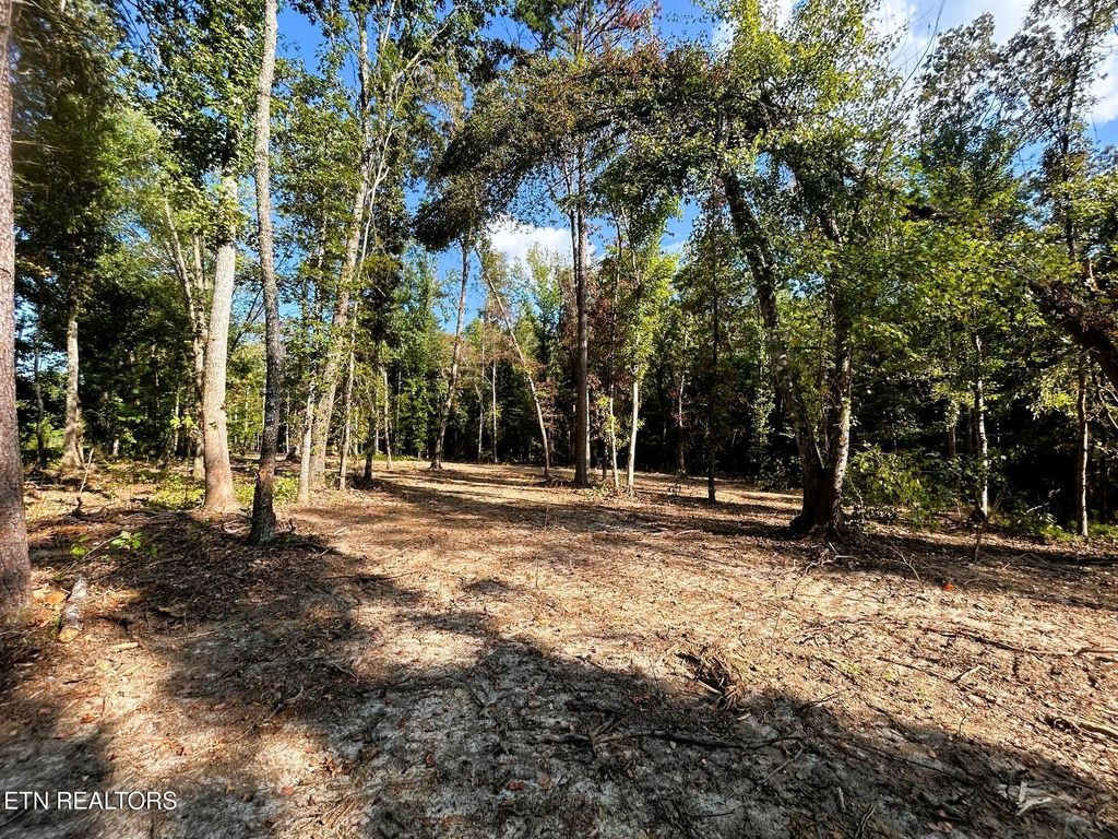Photo of 2 Pleasant Hill Road, Ten Mile, TN 37880 (MLS # 1310719)