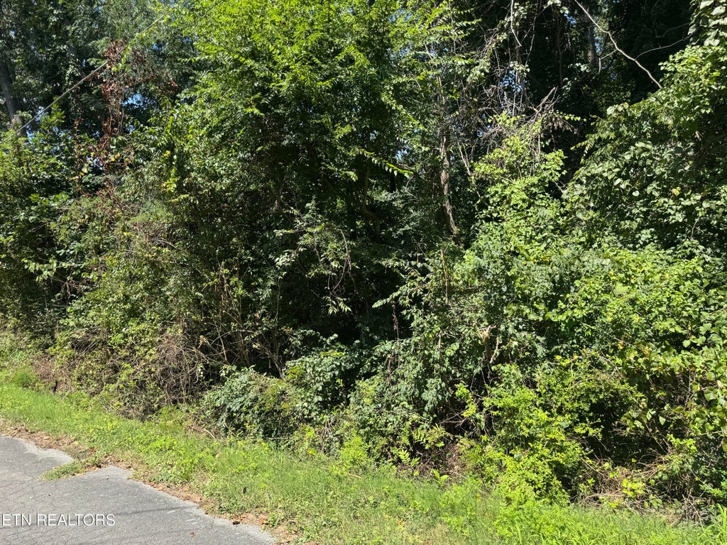 Photo of 726 Brookhill Drive, Etowah, TN 37331 (MLS # 1353560)