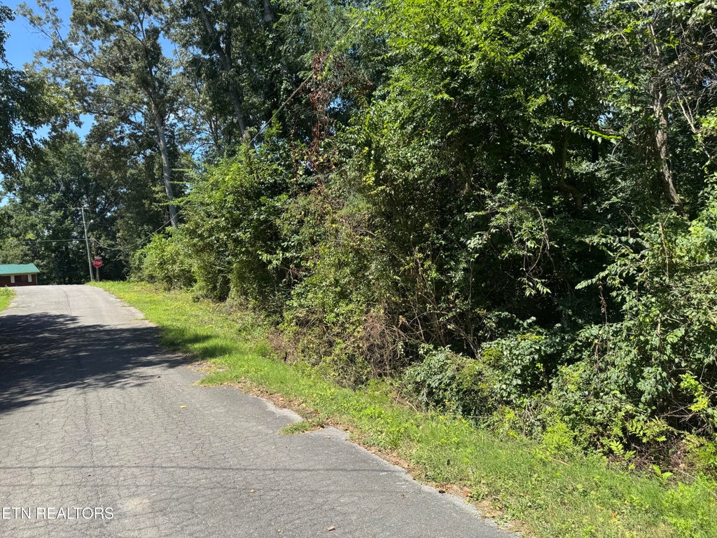 Photo of 726 Brookhill Drive, Etowah, TN 37331 (MLS # 1353560)
