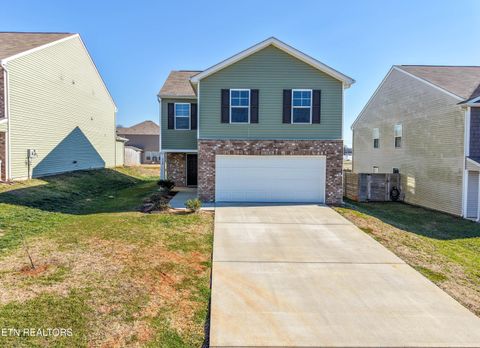 Photo of 228 Belle Court, Talbott, TN 37877 (MLS # 1327231)