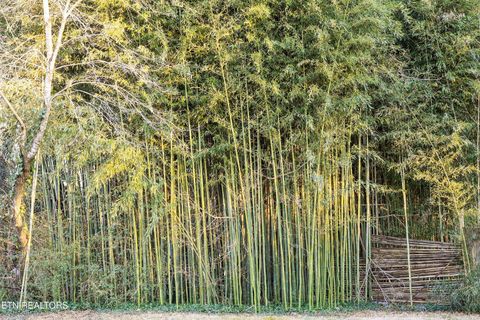 Tiny photo for 4912 Spring Creek Rd, Knoxville, TN 37920 (MLS # 1327024)