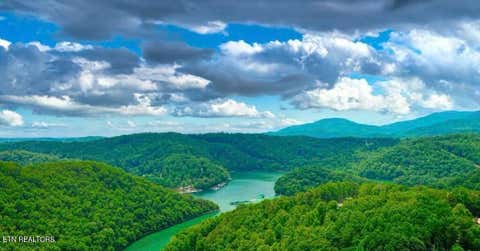 Tiny photo for Hiawatha Lane, Caryville, TN 37714 (MLS # 1346680)