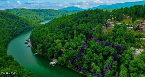 Tiny photo for Hiawatha Lane, Caryville, TN 37714 (MLS # 1346680)