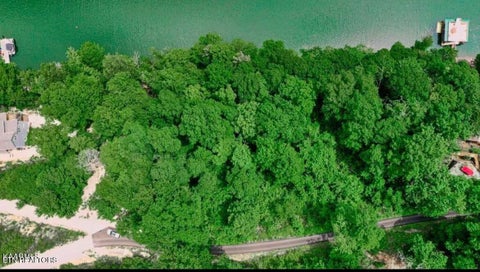 Tiny photo for Hiawatha Lane, Caryville, TN 37714 (MLS # 1346680)