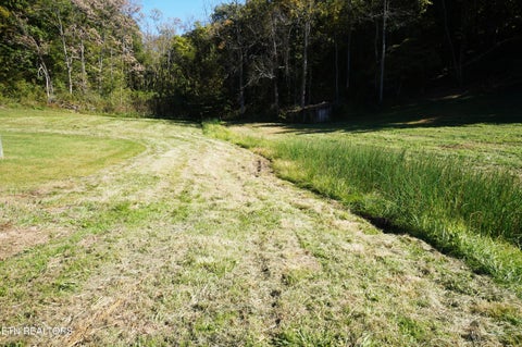 Tiny photo for 913 Brotherton Rd, Jefferson City, TN 37760 (MLS # 1360025)