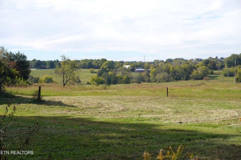 Tiny photo for 913 Brotherton Rd, Jefferson City, TN 37760 (MLS # 1360025)
