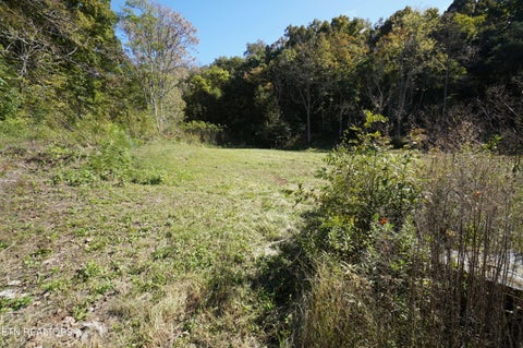 Tiny photo for 913 Brotherton Rd, Jefferson City, TN 37760 (MLS # 1360025)