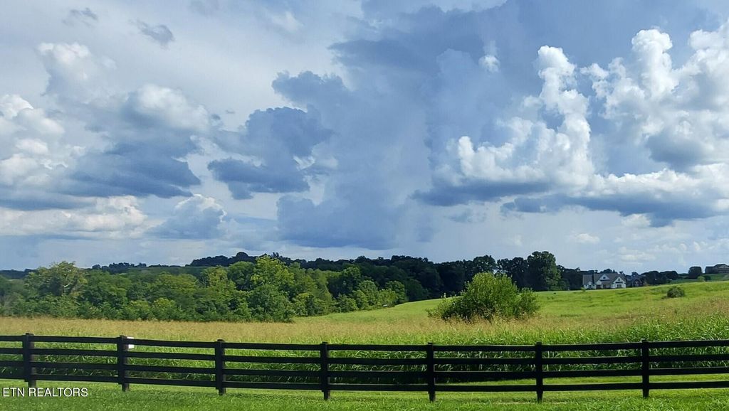 Photo of 0 Richland Rd, Blaine, TN 37709 (MLS # 1240127)