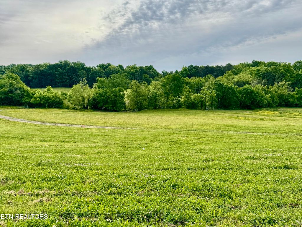 Photo of Rutledge Pike, Blaine, TN 37709 (MLS # 1301671)