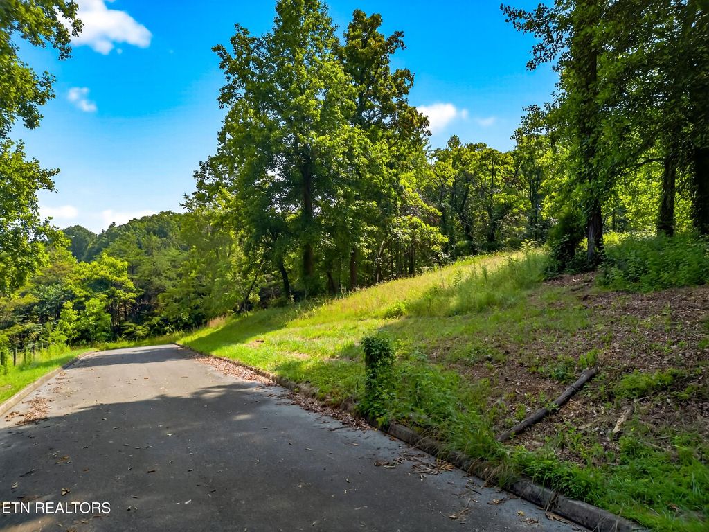 Photo of Stonehenge Way, Dandridge, TN 37725 (MLS # 1304560)