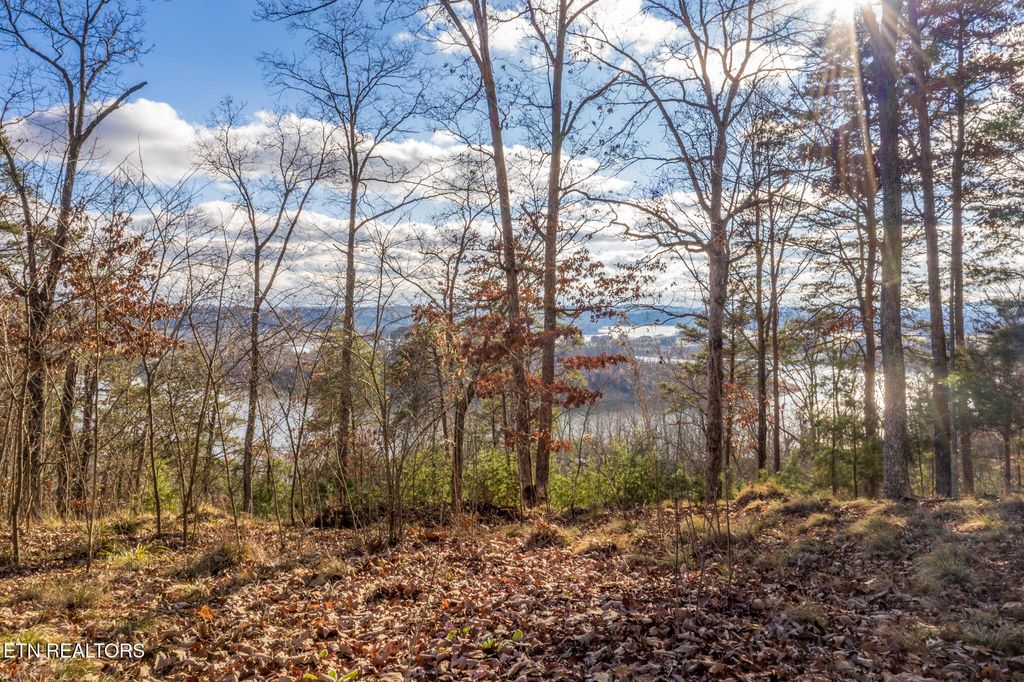 Photo of 607 Lakeview Drive, Mooresburg, TN 37811 (MLS # 1302361)