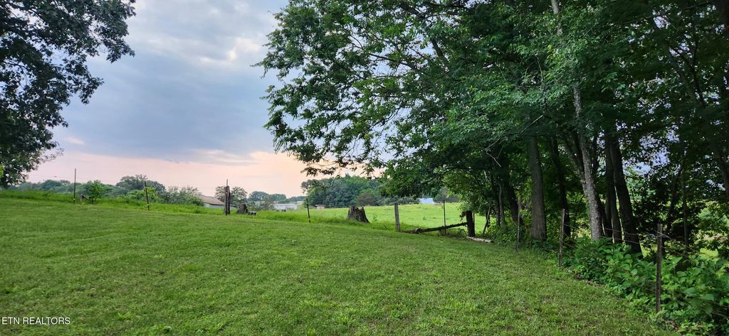 Photo of 11121 Mckinney Rd, Mascot, TN 37806 (MLS # 1330017)