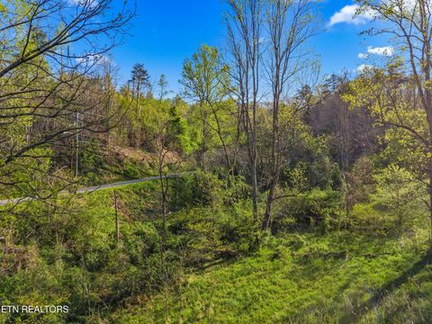Tiny photo for 264 Beech Branch Rd, Gatlinburg, TN 37738 (MLS # 1338311)