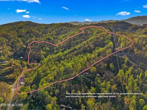 Tiny photo for 264 Beech Branch Rd, Gatlinburg, TN 37738 (MLS # 1338311)