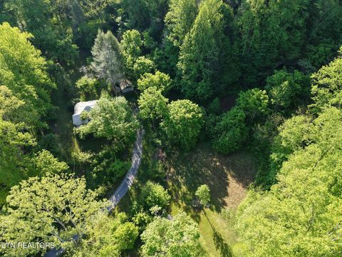 Tiny photo for 264 Beech Branch Rd, Gatlinburg, TN 37738 (MLS # 1338311)