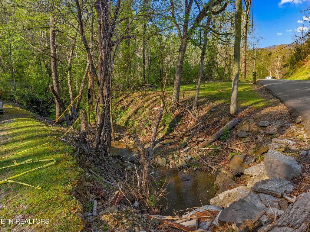 Photo of 264 Beech Branch Rd, Gatlinburg, TN 37738 (MLS # 1338311)