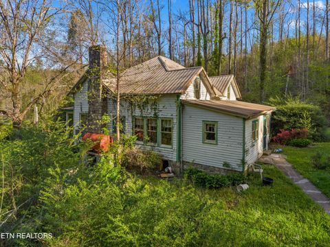 Tiny photo for 264 Beech Branch Rd, Gatlinburg, TN 37738 (MLS # 1338311)