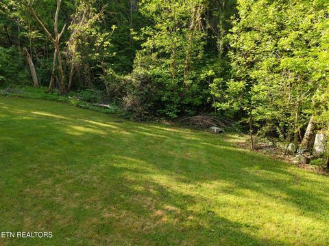 Tiny photo for 264 Beech Branch Rd, Gatlinburg, TN 37738 (MLS # 1338311)