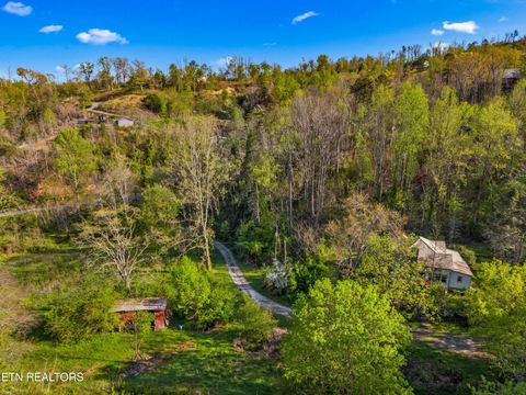 Tiny photo for 264 Beech Branch Rd, Gatlinburg, TN 37738 (MLS # 1338311)