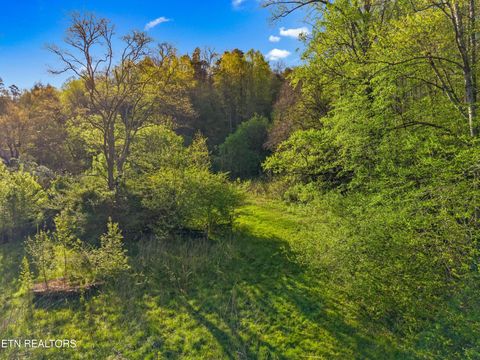Tiny photo for 264 Beech Branch Rd, Gatlinburg, TN 37738 (MLS # 1338311)
