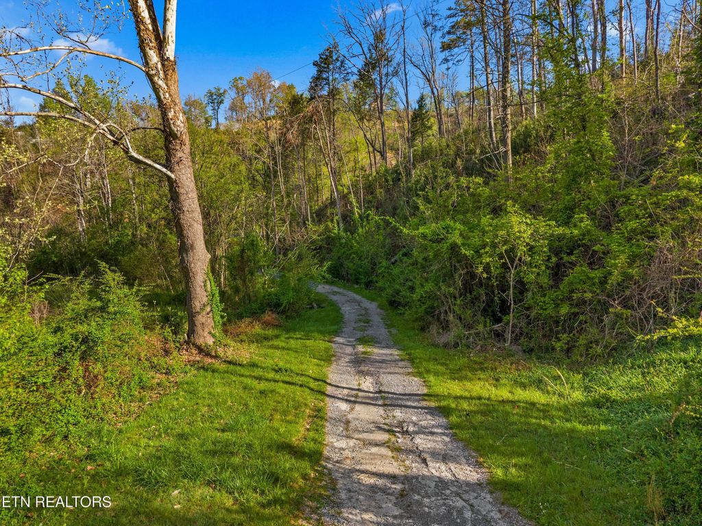 Photo of 264 Beech Branch Rd, Gatlinburg, TN 37738 (MLS # 1338311)